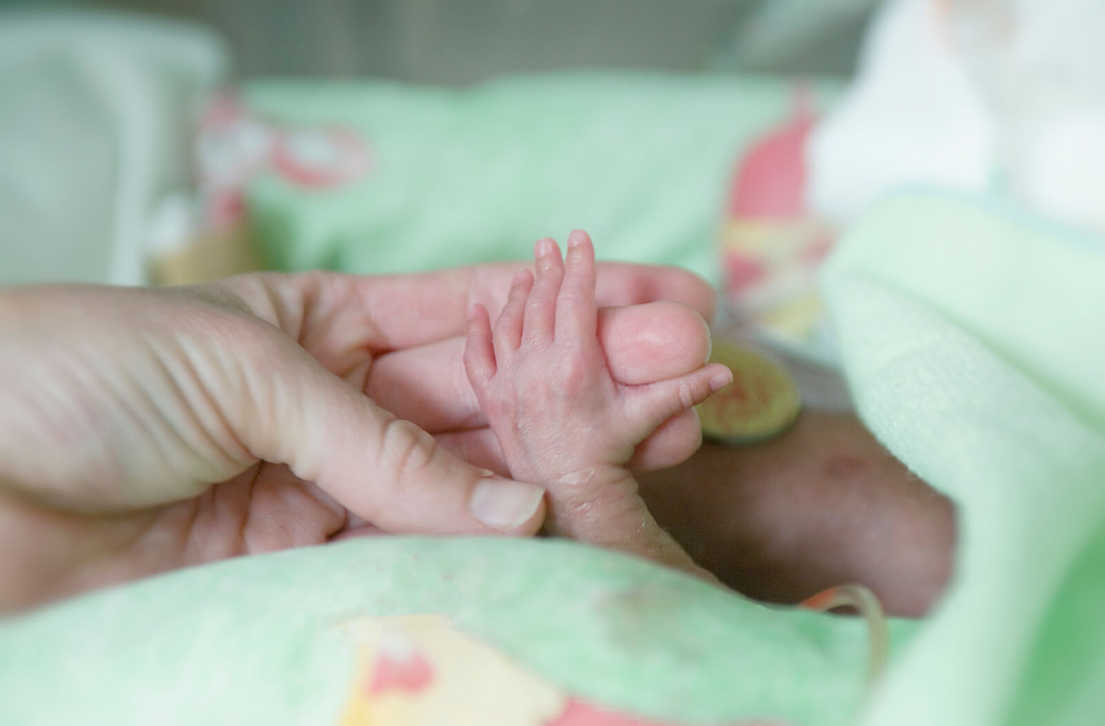 A Newborn Baby Clutches Their Parent's Finger at the Hospital