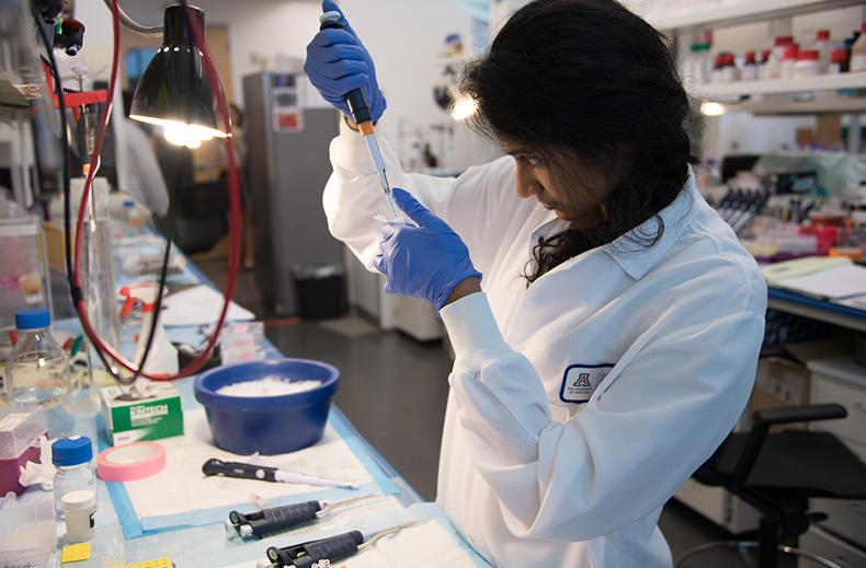 A Researcher Measuring a Sample in the Lab