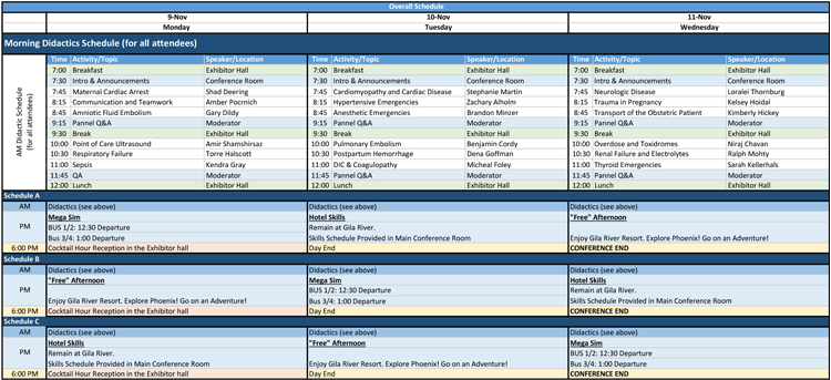 Overall Schedule