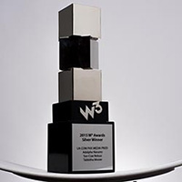 Silver W3 Award