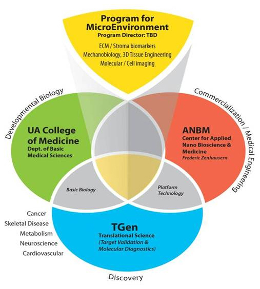 Center for Applied NanoBioscience - Engineered Microenvironment | The ...