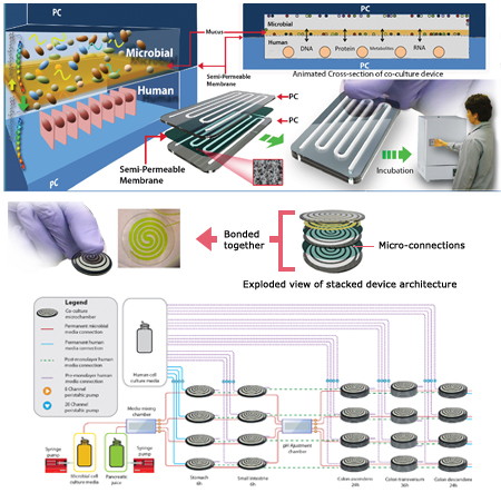 Human Microbiome