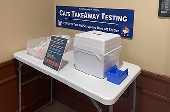 Cats TakeAway Testing