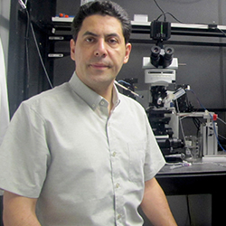 Shahram Zarrabian, PhD