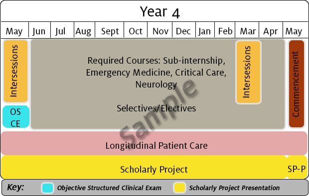 Year 4 Sample Curriculum