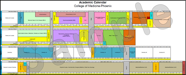 Academic Calendar | The University Of Arizona College Of Medicine – Phoenix