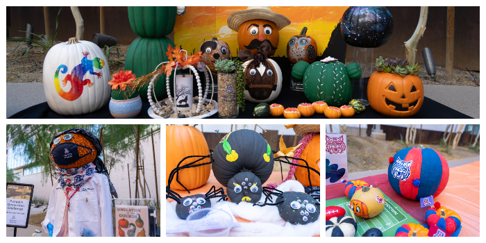 Pumpkins from the 2025 Fall Fest