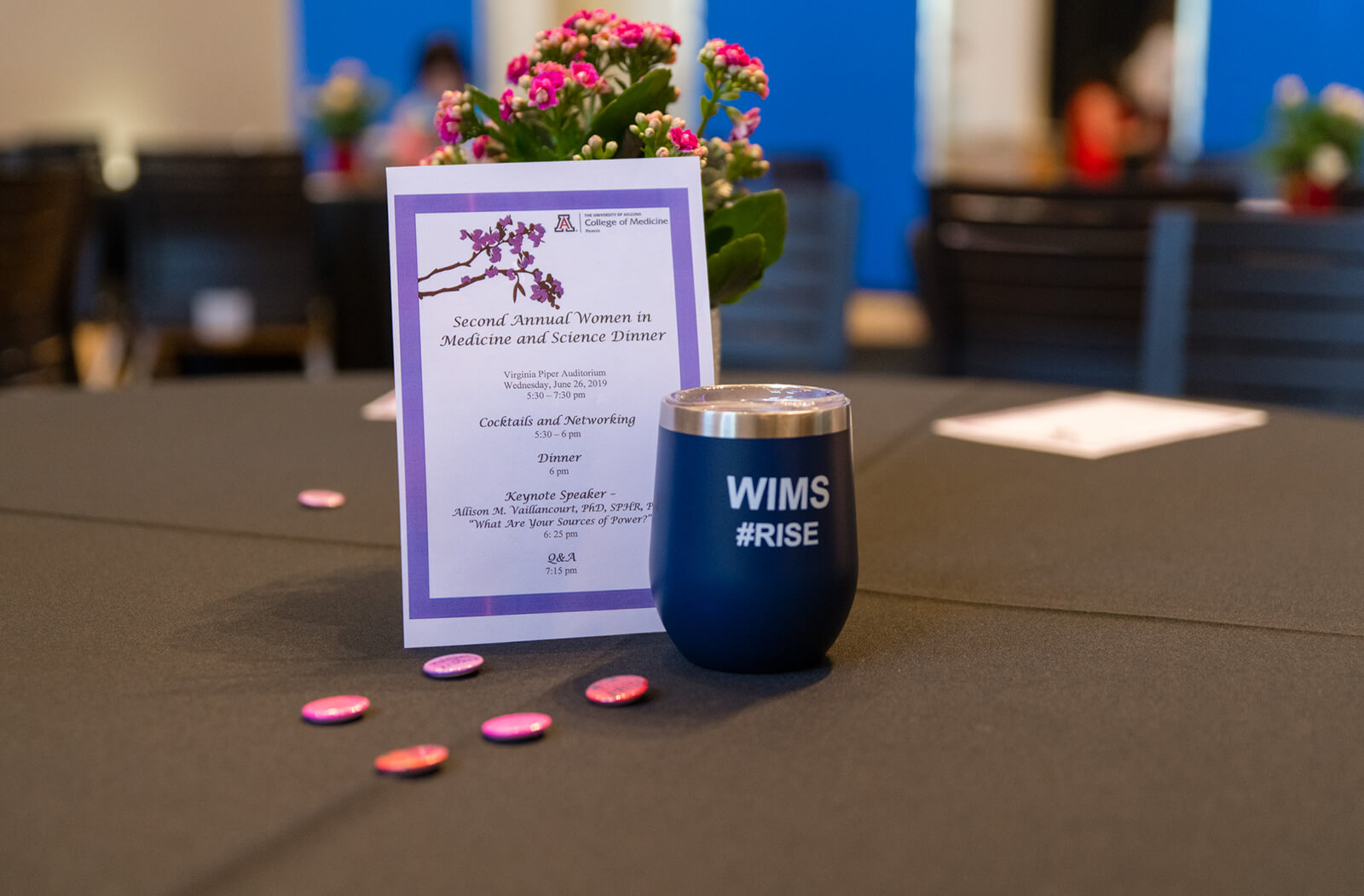 Table Display from the Second Annual WIMS Dinner