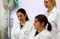 Researchers Lakshmi Madhavpeddi, Helen Magee, Sandra Hinz-Nordlie 
