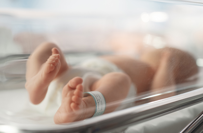 An infant rests in the NICU