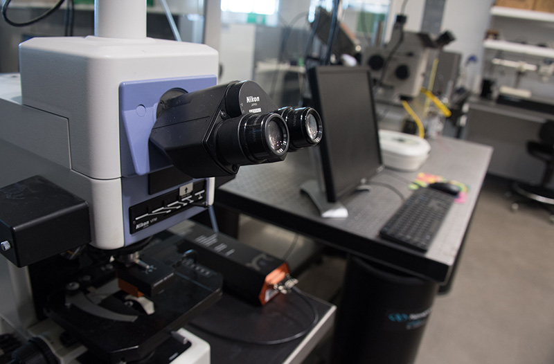 A Microscope in the ANBM Laboratory Space