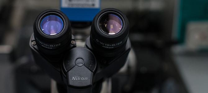 Microscope Lenses Up Close