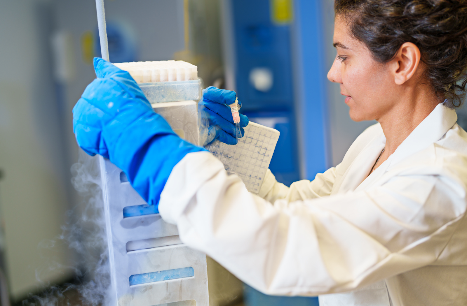 Shirin Doroudgar, PhD, at work in the Translational Cardiovascular Research Center