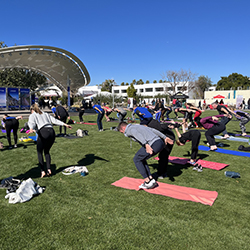 At the event, people could participate in a variety of activities, including yoga