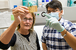 Dr. Anne Cress (Left) Devotes Her Career to Decoding Cellular Conversations