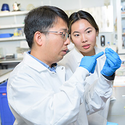 Dr. Dai's lab is investigating lung vascular biology and attempting to identify targets for diseases related to it