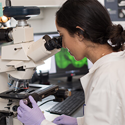 A Researcher Examines a Sample in Dr. Gallitano's Lab