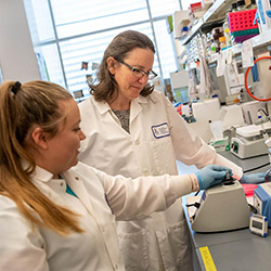 Taben Hale, PhD, (right) associate professor of basic medical sciences and director of Women in Medicine and Science at the College of Medicine – Phoenix, runs her own lab, something her grandmother could only dream of doing