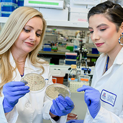 Dr. Jimenez and Dr. Herbst-Kralovetz discussing a bacterial sample