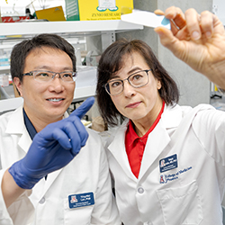 Dr. Kalin and Ying-Wei Lan, PhD, a researcher in her lab, examine a sample 