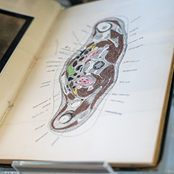 Dr. Kaplan's books will be on display in the library year-round and will rotate the collective works. Dr. Kaplan's books will be on display in the library year-round and will rotate the collective works.