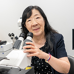 Dr. Chiamvimonvat's research focuses on understanding the cellular and molecular mechanisms contributing to cardiac arrhythmias and sudden cardiac death in heart failure. Dr. Chiamvimonvat's research focuses on understanding the cellular and molecular mechanisms contributing to cardiac arrhythmias and sudden cardiac death in heart failure.