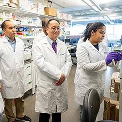 Dr. Zhang's lab focuses on atherosclerosis, fatty liver disease, obesity and diabetes.