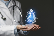 A physician's hands hold up a digital heart