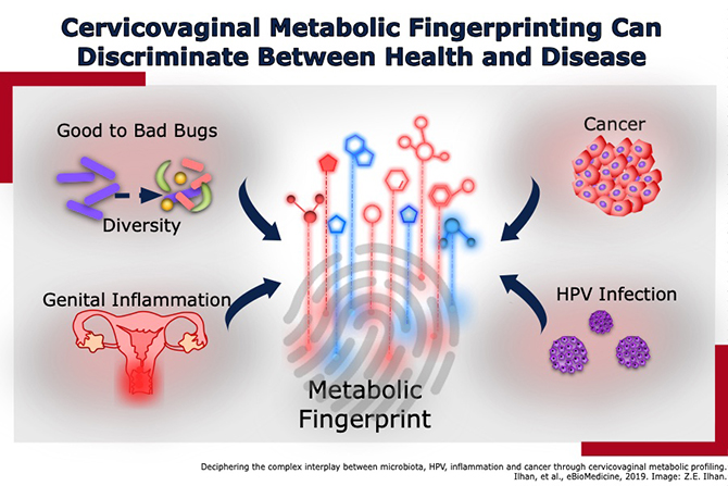 Metabolic Fingerprint