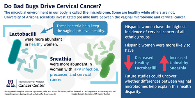 Cervical Cancer Inforgraphic