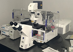 Zeiss LSM 710 Confocal