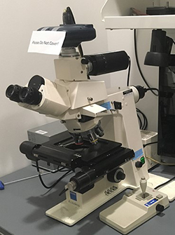 NeuroLeucida and Stereo Investigator from MBF Bioscience