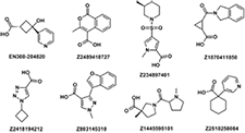 Enamine Fragment Library