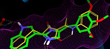 Schrödinger Small Molecule Drug Discovery Suite
