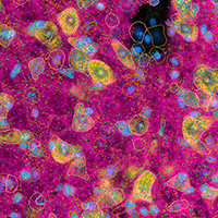10x Genomics image 4