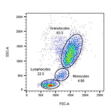 Flow Cytometry Example