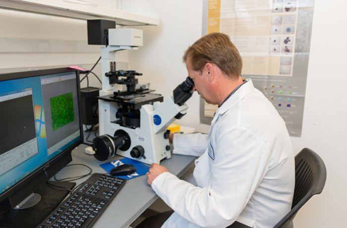 Dr. Kurt Gustin Uses a Microscope in the Lab