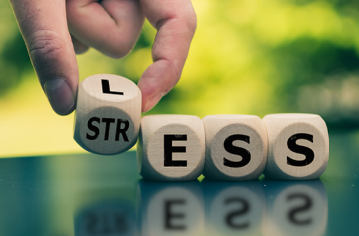 Dice with lettering on them spelling "Less" and "Stress"