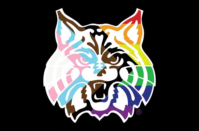University of Arizona Pride logo