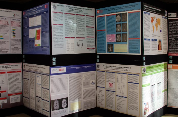 A Typical Poster Set Up at an Academic Excellence Day
