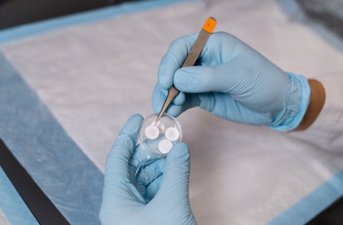 A Scientist Working with Small Samples in a Lab