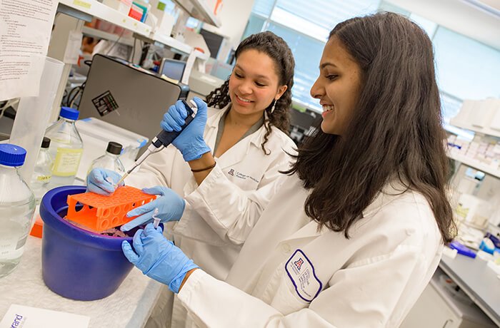 Two Interns in the Basic Medical Sciences Lab Space