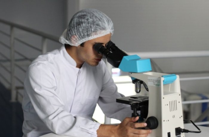 A Researcher Examines a Slide via a Microscope