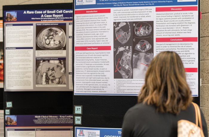 Posters on display at a past Academic Excellence Day