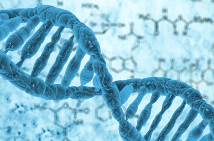 A DNA Strand under a Microscope