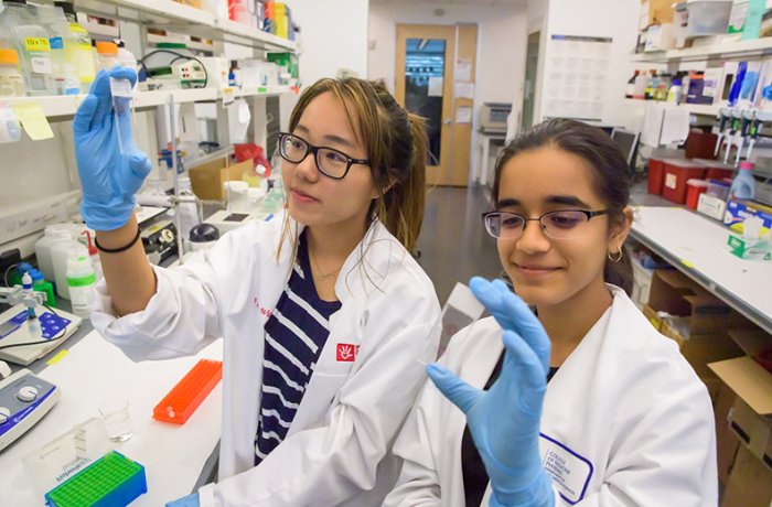 Interns in the Basic Medical Sciences Summer Program Analyze Samples in the Lab