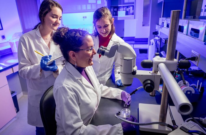 Rebecca Fisher, PhD, in Her Lab (Photo Credit: Chris Richards)