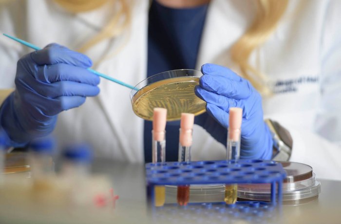 Melissa Herbst-Kralovetz, PhD, looking at a sample in the lab