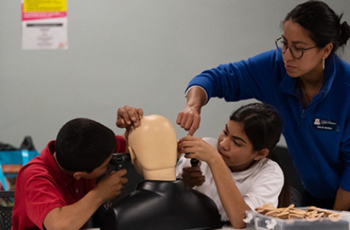 Students Examine the Ears of the College’s Simulation Mannequin