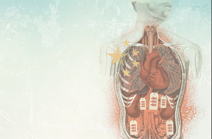 Forced Organ Harvesting Graphic